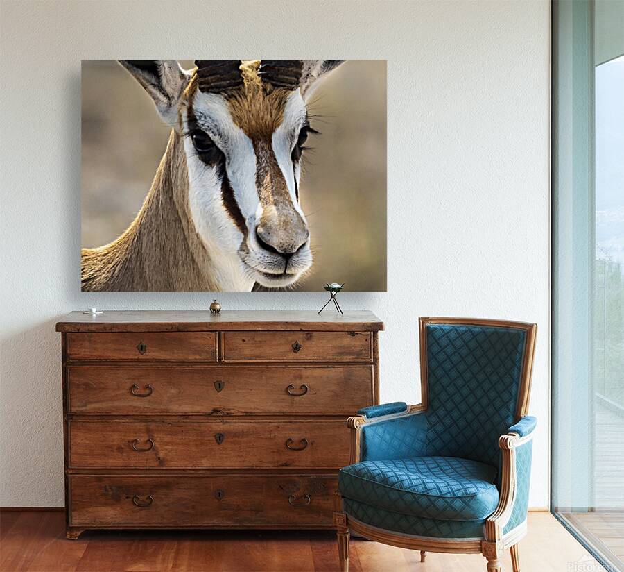 Elegance in Nature Reproduction