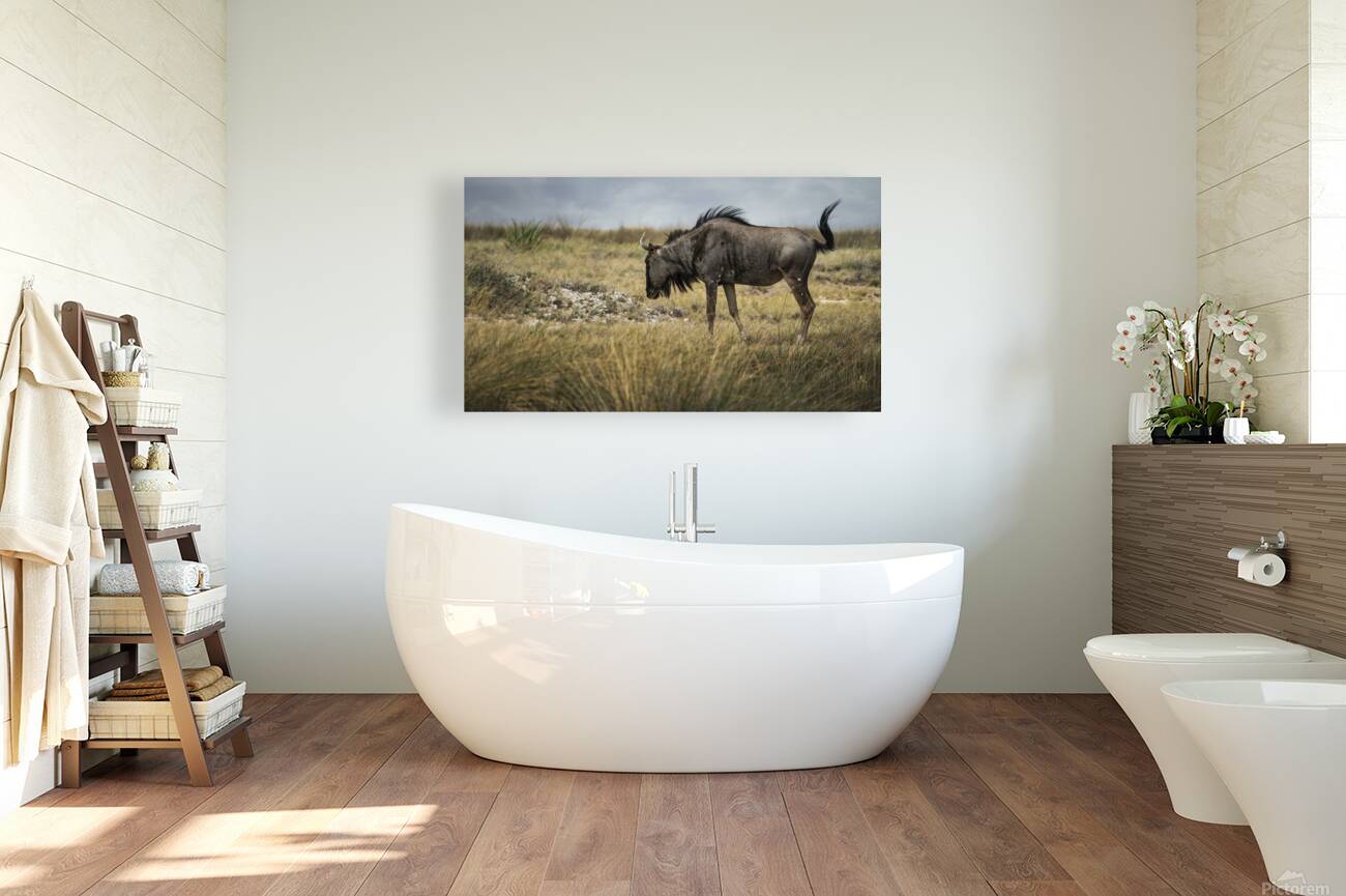 Serenity with Wildebeest Reproduction