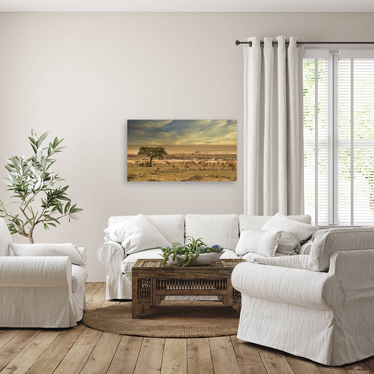 Springbok Oasis  Reproduction