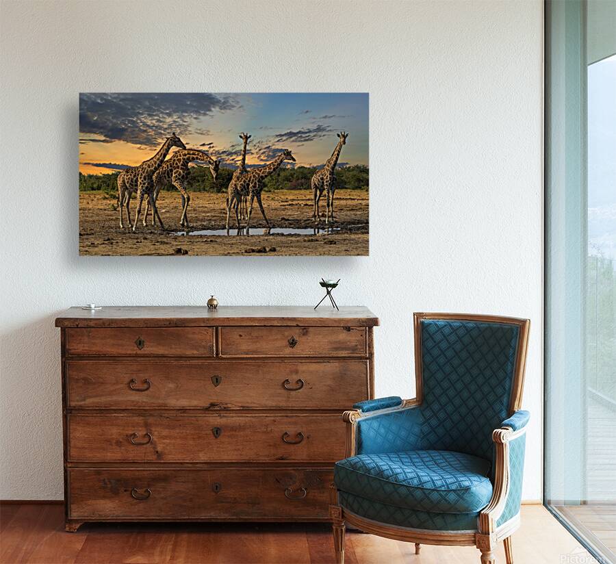 Sunset at Gondwana in Namibia Reproduction