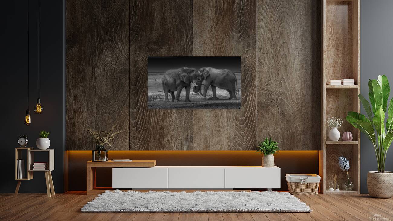 Twin Titans: Majestic Monochrome Reproduction