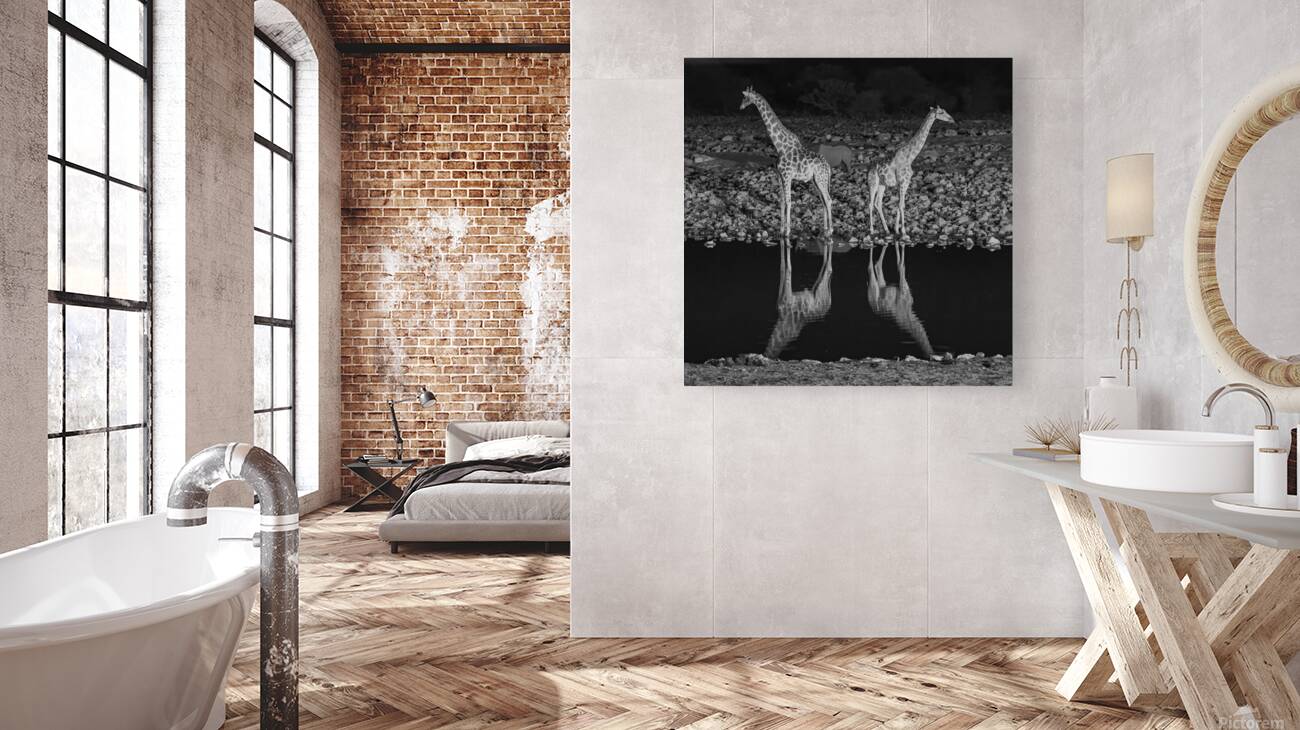 Graceful Giants: Serenity by the Water Reproduction