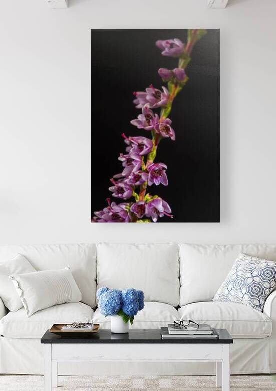 Whispers of Heather by Bob Wild   Digital Art