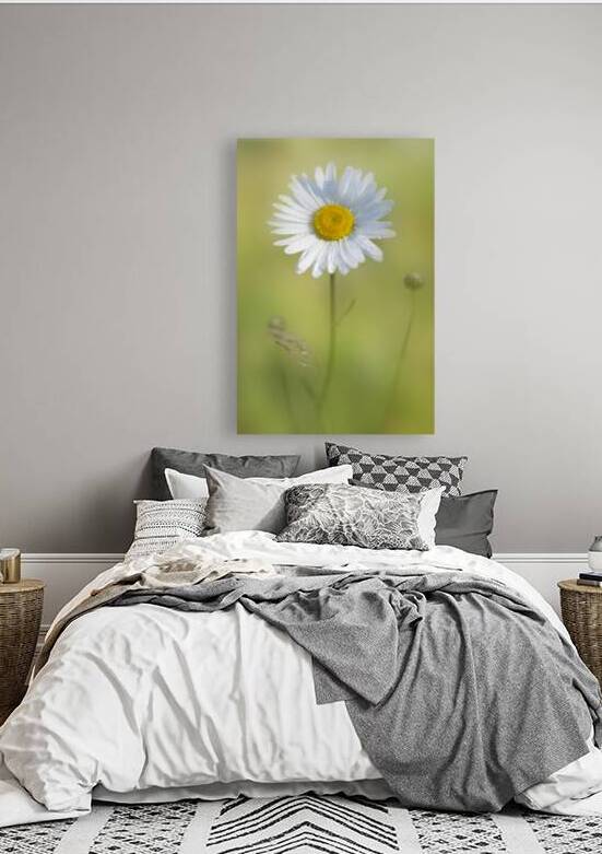 Gentle Awakening Reproduction