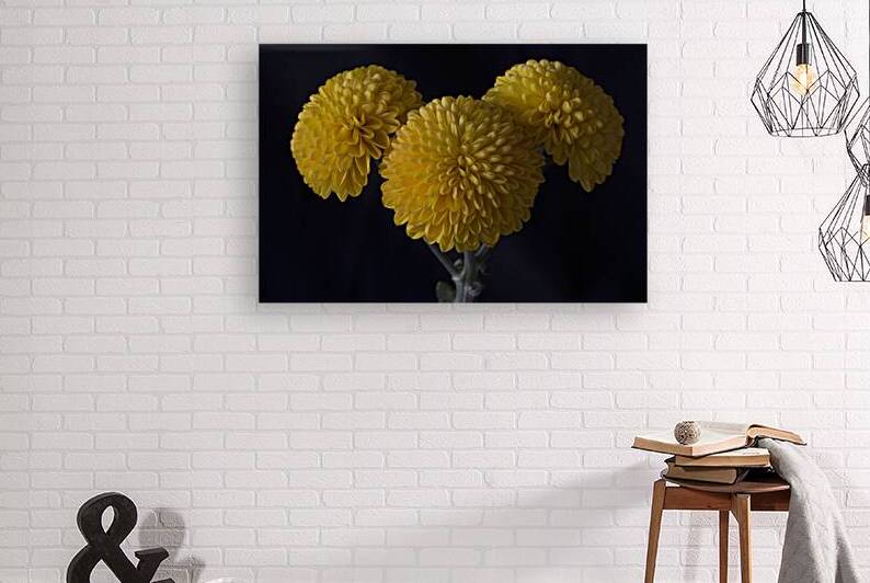 Golden Pompoms by Bob Wild   Digital Art
