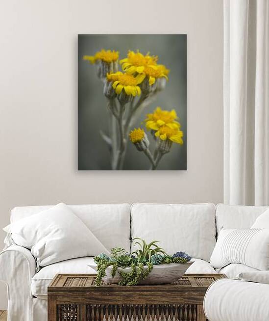 Velvet Touch: The Intricacies of Dusty Miller by Bob Wild   Digital Art