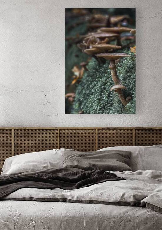 Forest Floor Fantasia: A Mushrooms Tale by Bob Wild   Digital Art