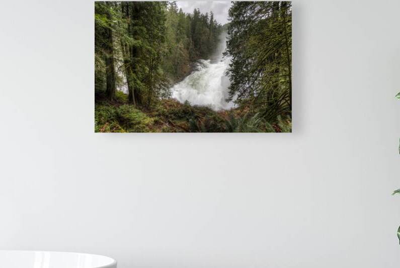 The Roar of Elk Falls  by Bob Wild   Digital Art