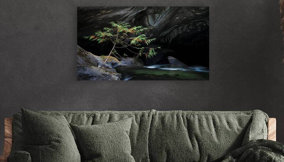 A Natural Wonder Tree at Little Huson Caves by Bob Wild   Digital Art