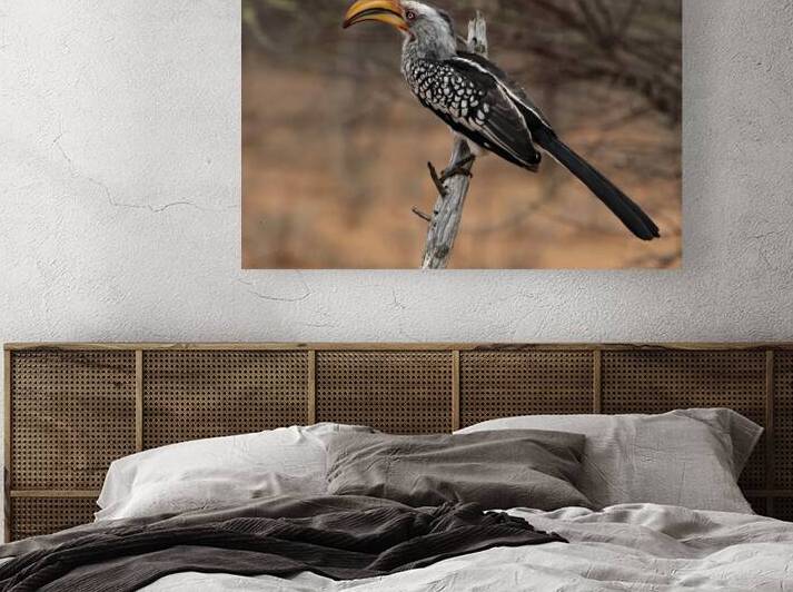 Branch Royalty by Bob Wild   Digital Art