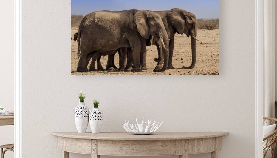 Brothers Roaming Proudly Reproduction