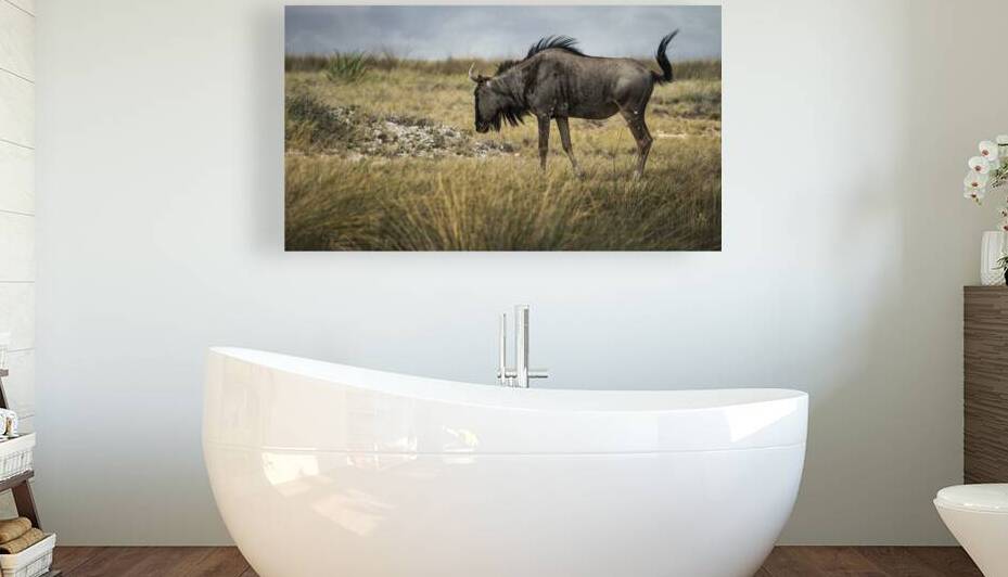 Serenity with Wildebeest by Bob Wild   Digital Art