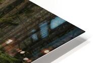 Endless Journey HD Metal print