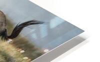 Serenity with Wildebeest HD Metal print