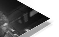 Twin Titans: Majestic Monochrome HD Metal print