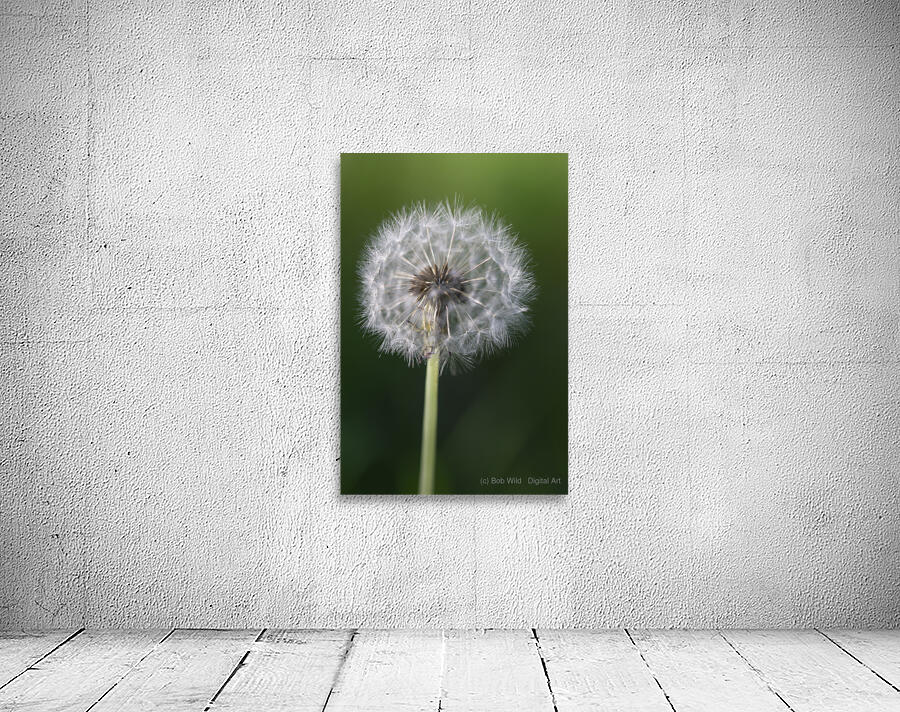 Airborne Wishes: The Enchantment of a Dandelion Wall Preview