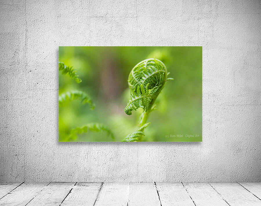 Spring Fresh Start Wall Preview
