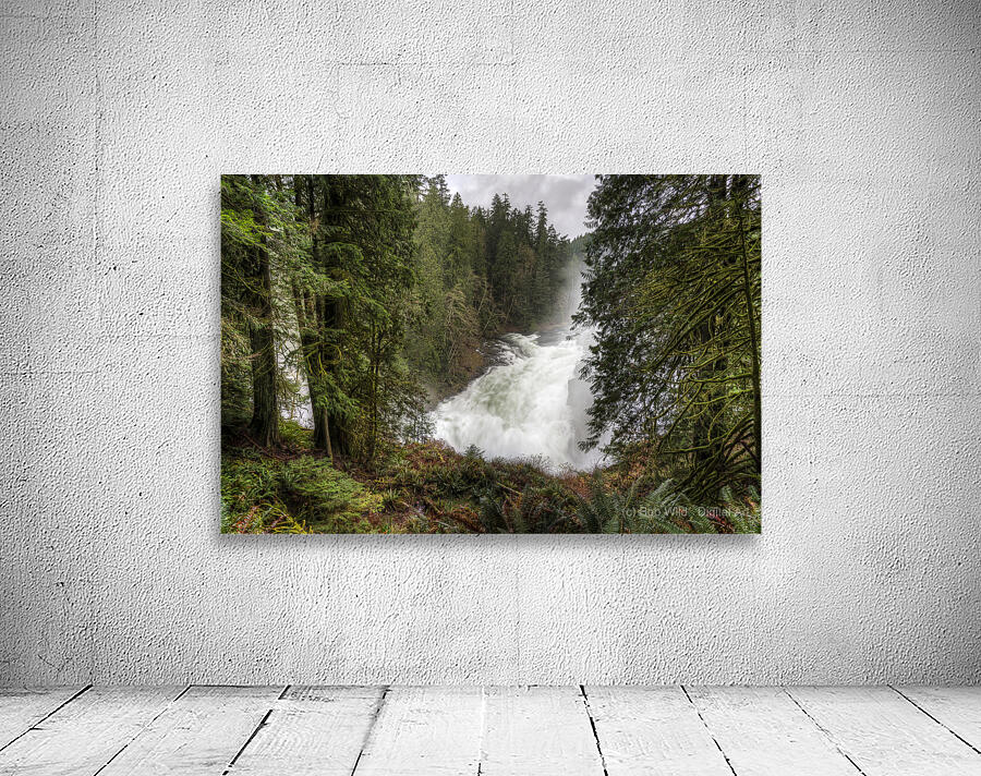 The Roar of Elk Falls  Wall Preview