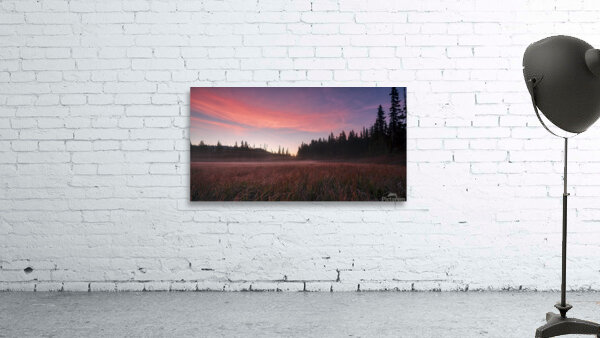 Morning Rays Wall Preview