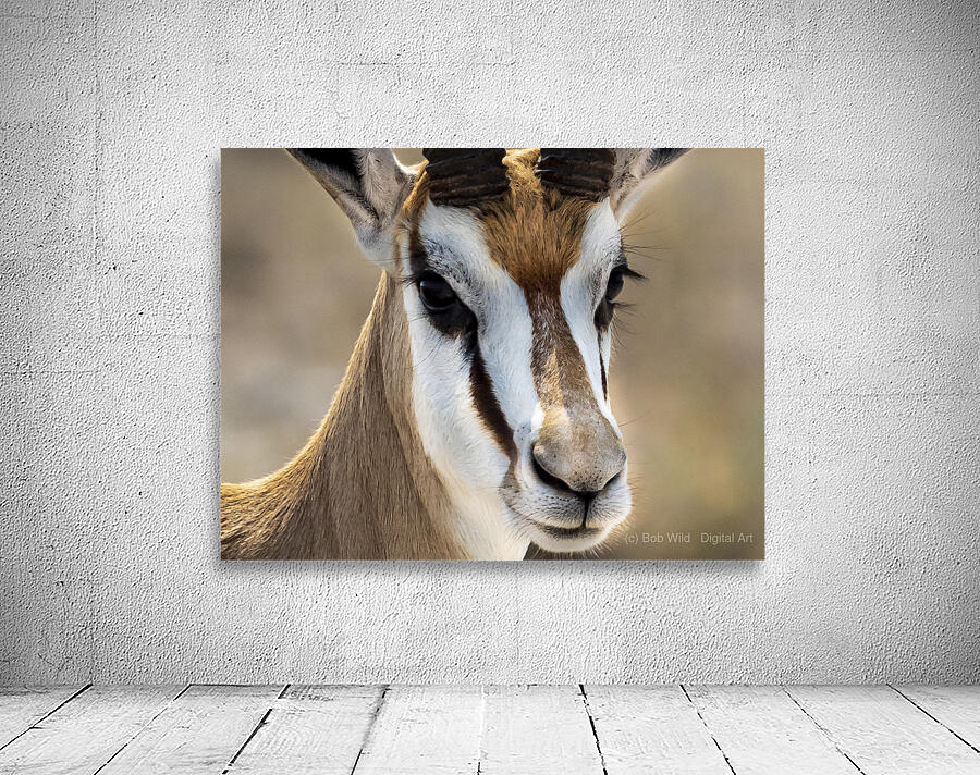 Elegance in Nature Wall Preview