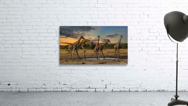 Sunset at Gondwana in Namibia Wall Preview
