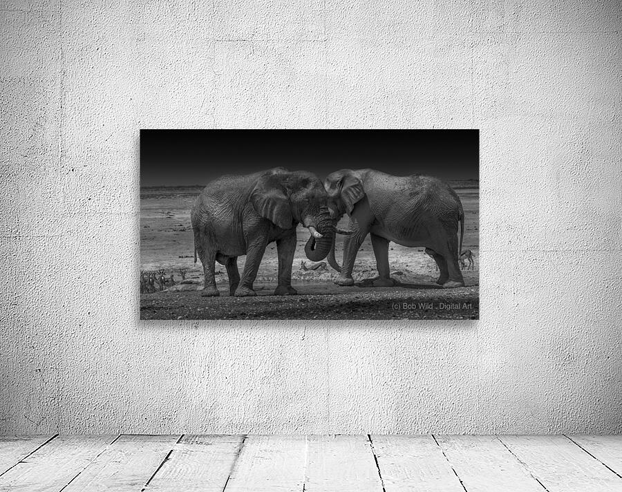Twin Titans: Majestic Monochrome Wall Preview