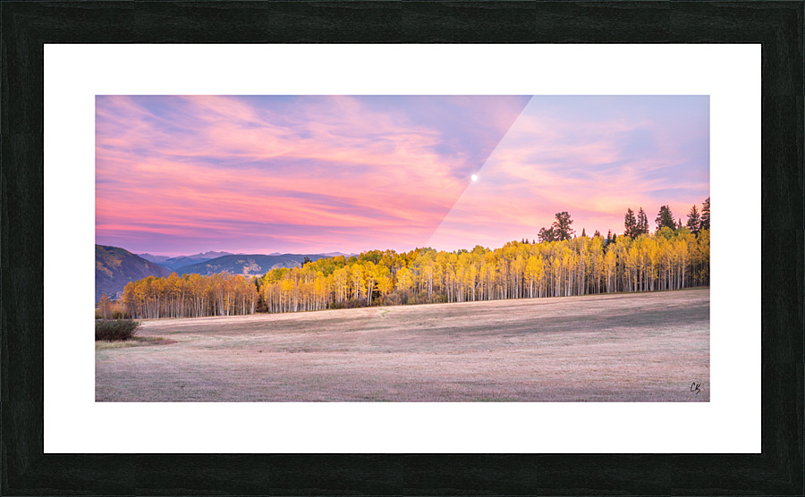 Moon in Aspen Signed Picture Frame print