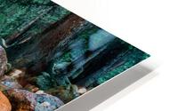 Guenilla Signed HD Metal print