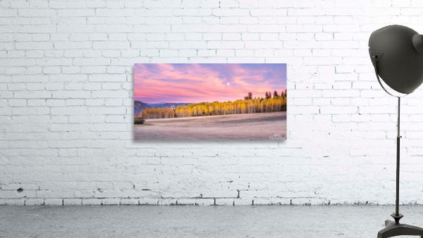 Moon in Aspen Signed Wall Preview