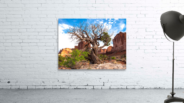 Juniper at Park Ave Signed Wall Preview