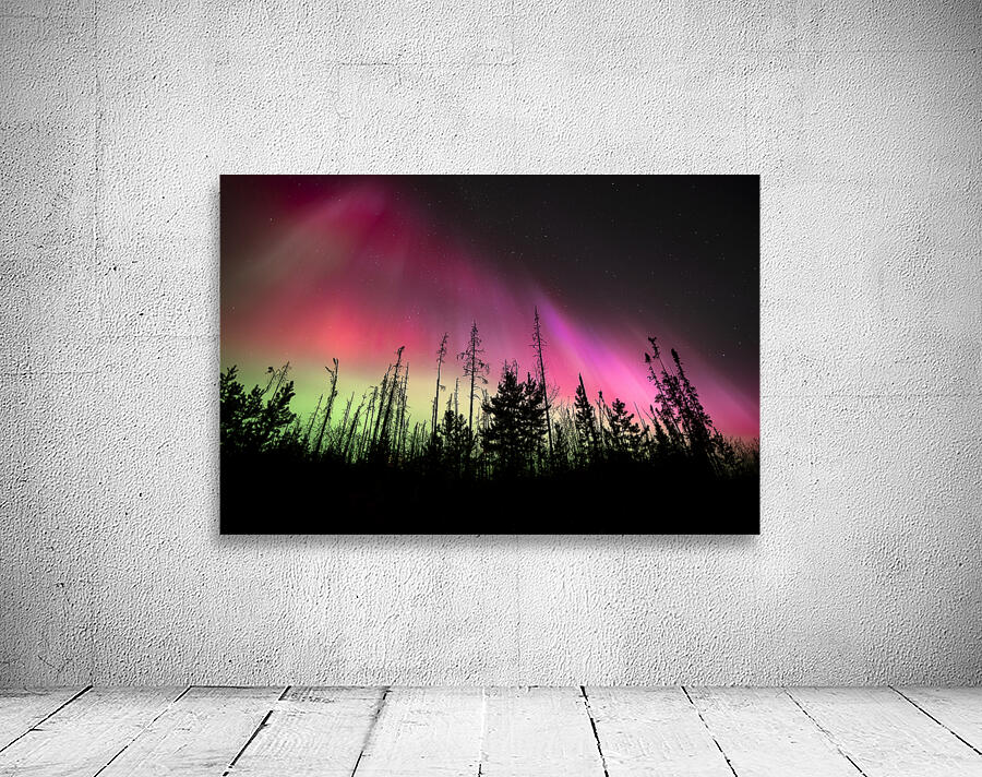 Pink Aurora  Wall Preview