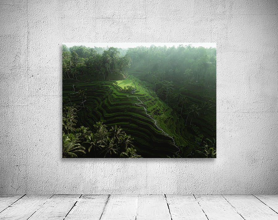 Ubud Rice Terrace Wall Preview