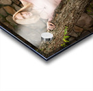 20200822_DSC3835 Acrylic print