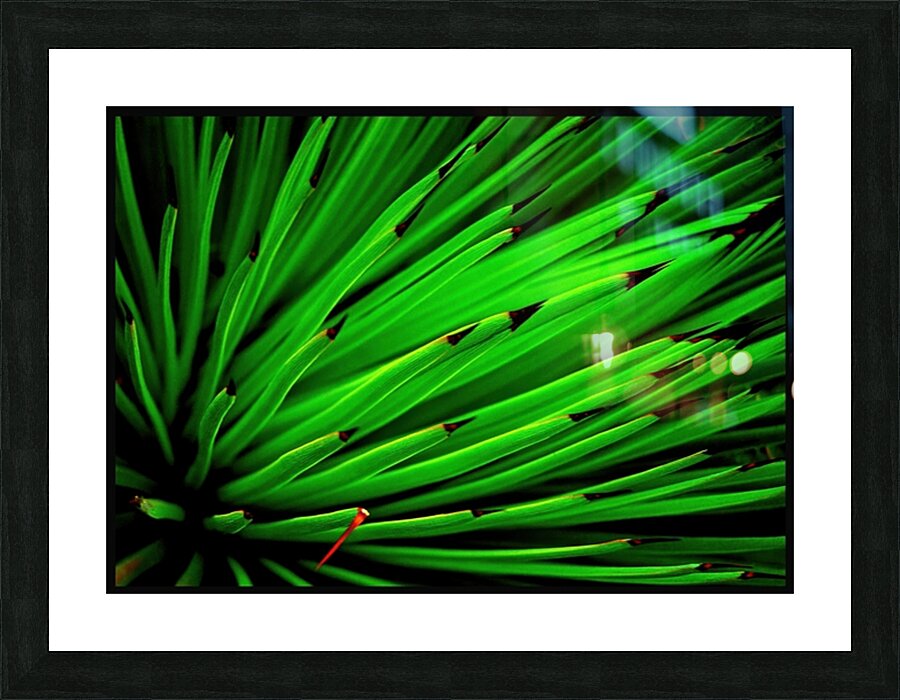 Parisgreenplant Picture Frame print