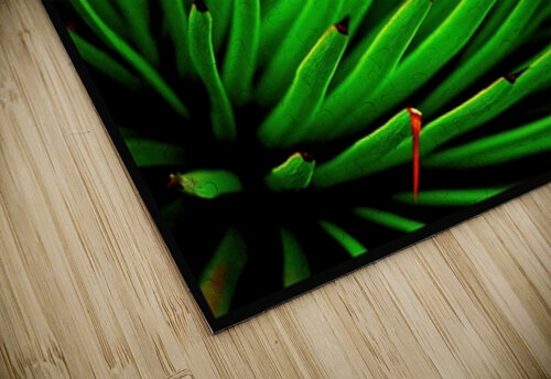 Parisgreenplant Neal Mondschein puzzle