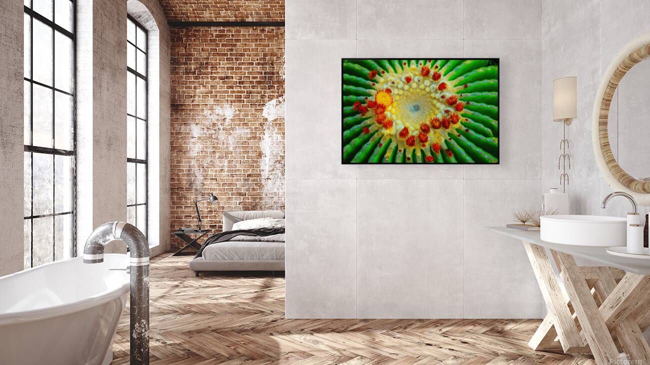 Paris catusflower Reproduction