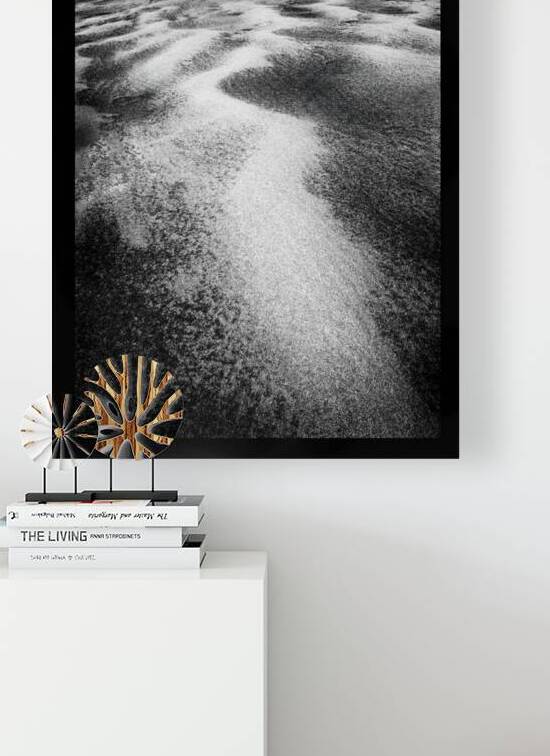 DuneSand by Neal Mondschein