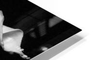 BWLIL31 HD Metal print