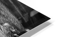 BWsanddunes HD Metal print