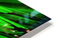 Parisgreenplant HD Metal print