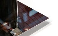 WindowCurtain Impression metal HD