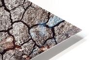 CrackedEarth HD Metal print