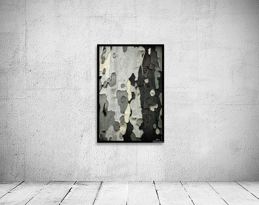 TreeBark 2 Wall Preview