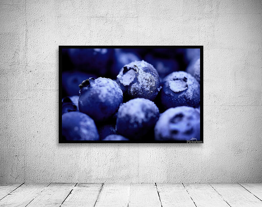 Paris Blueberry Wall Preview