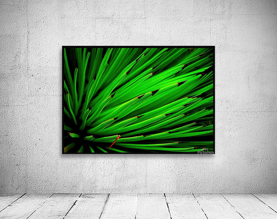 Parisgreenplant Wall Preview