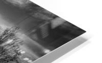 Magic Kingdom BW HD Metal print
