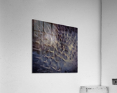 CURIOSITY - GRAY Acrylic Print