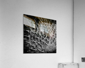 CURIOSITY - DARK Acrylic Print