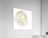 CURIOSITY - LIGHT Acrylic Print