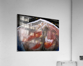 Image00007_1510597055.57 Acrylic Print